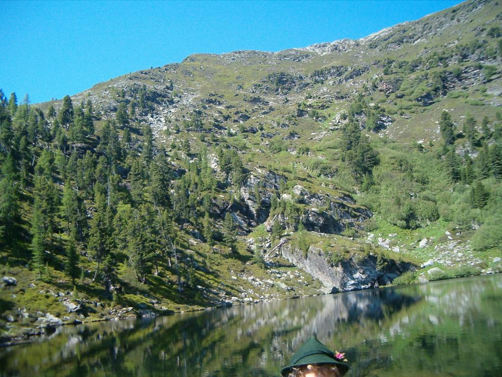 Privatpension Herta Sankt Georgen ob Murau Bagian luar foto