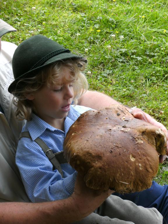 Privatpension Herta Sankt Georgen ob Murau Bagian luar foto